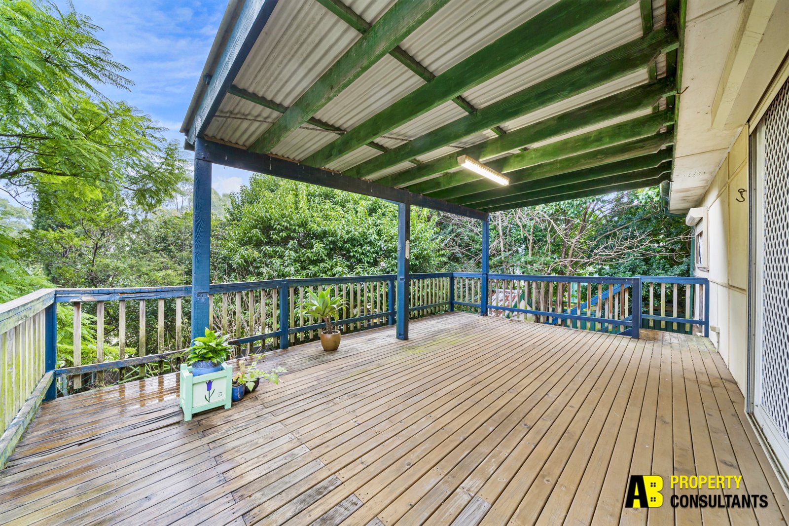 74 Lucas Road, Seven Hills - Thumbnail 4