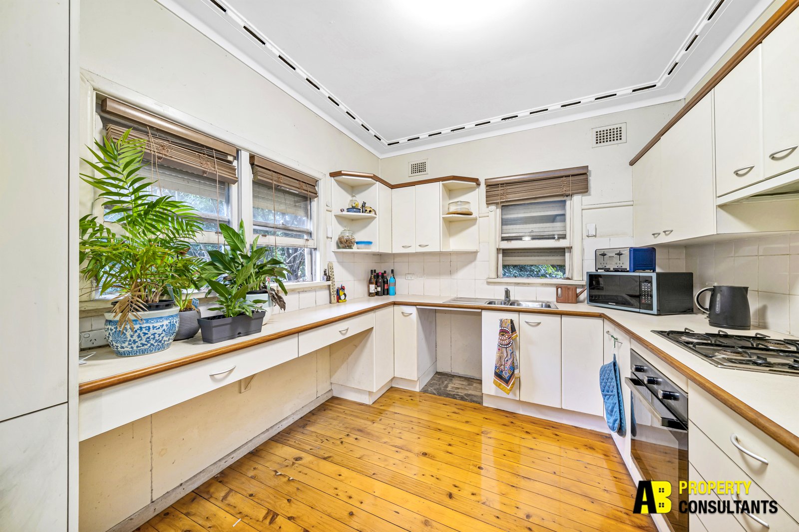 74 Lucas Road, Seven Hills - Thumbnail 5