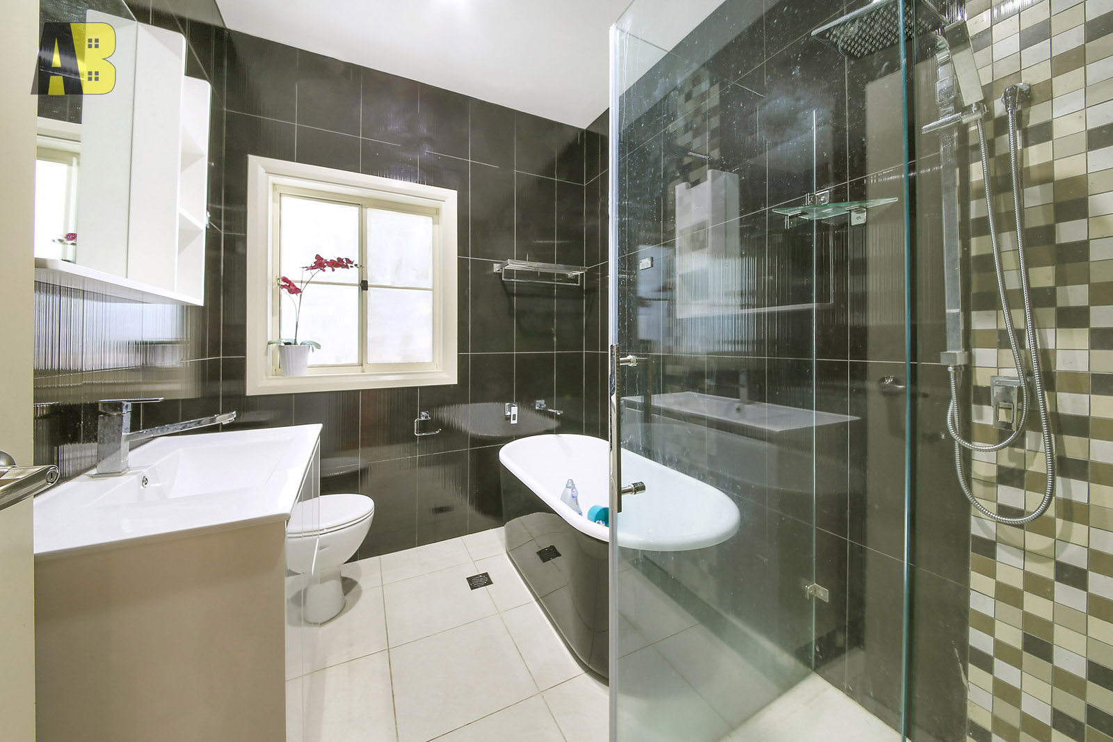 8 Carrington Street, Parramatta - Thumbnail 4